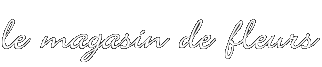 le magasin de fleurs